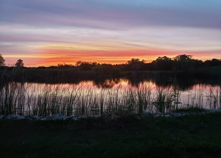 Sunset over the pond near Lake Whitney